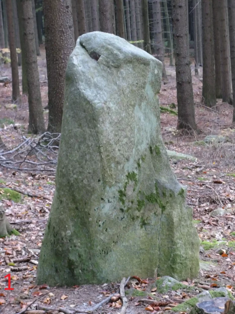 Vztyčené kameny na Kleti