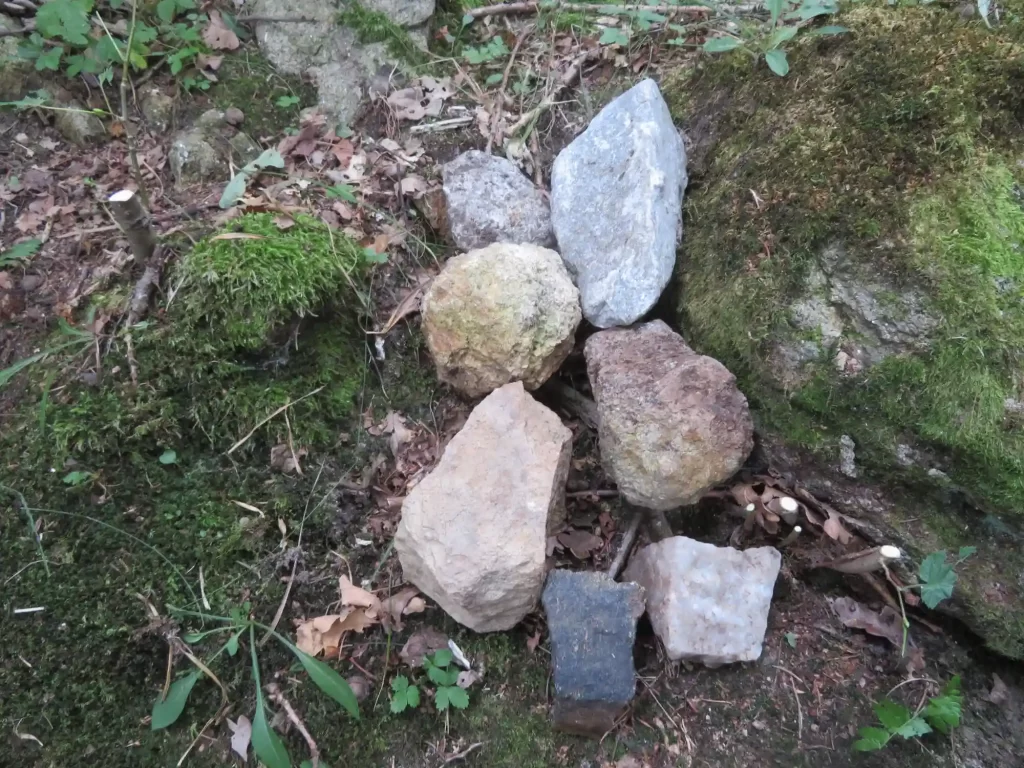 Kamenná řada u Besednice