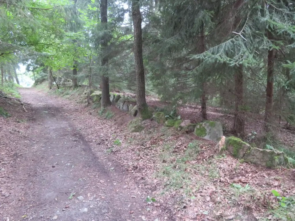 Kamenná řada u Besednice